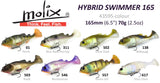 Molix Hybrid Swimmer 165