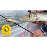 Bassday SugaPen Splash 75 Popper Lure