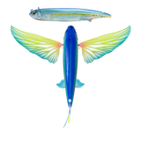 Nomad Slipstream Flying Fish 140