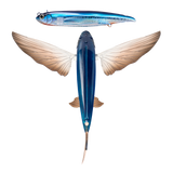 Nomad Slipstream Flying Fish 140