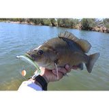 Tribe Twin Jig Spinner BRASS GOLD