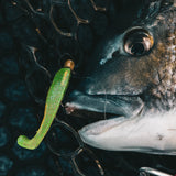 TT Lures Headlockz Finesse UV Jigheads Motoroil